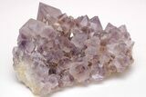 Cactus Quartz (Amethyst) Crystal Cluster - Huge Crystals! #206120-1